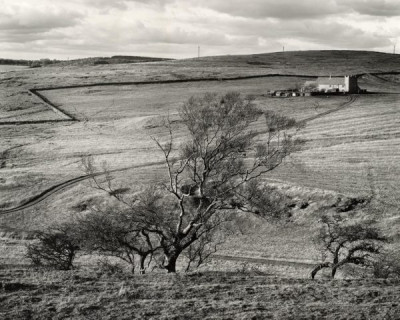 Northumberland Landscapes, c. 1981/82