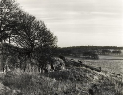 Northumberland Landscapes: Capheaton, 1981