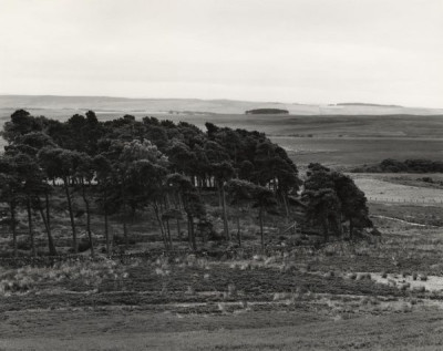 Northumberland Landscapes, c. 1981/82