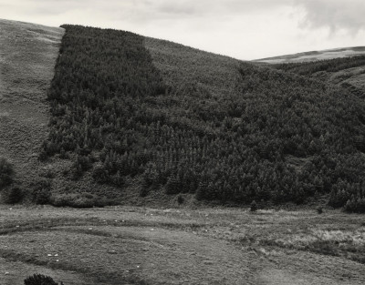 Northumberland Landscapes