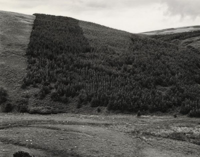 Northumberland Landscapes, c. 1981/82