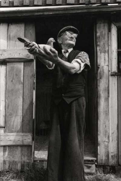 Byker: Jimmy Dodds, Dalton Street Railway Pigeon Loft, Albion Row Allotments, June 1980