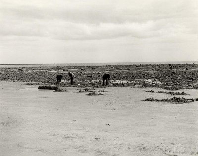 For Druridge: Digging for Worms, Fishermen Up at Hadston Carrs, North End of the Bay, 1983