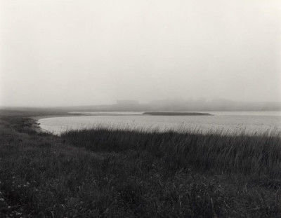 For Druridge: Blackmoor Farm on Cresswell Ponds, 1983