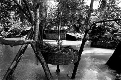 When the Waters Came, 1988
