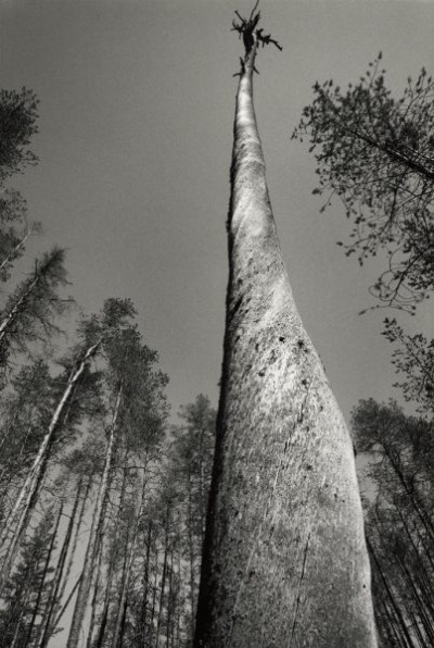 My Finnish Routes, 1992