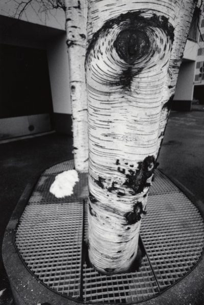 My Finnish Routes, 1992