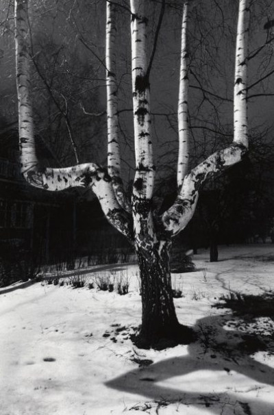 My Finnish Routes, 1992