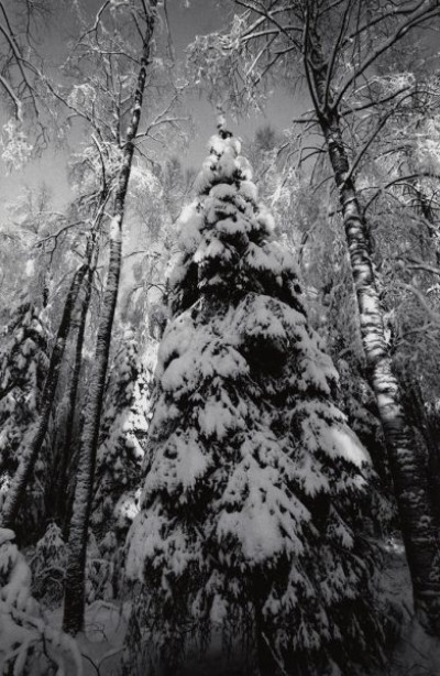 My Finnish Routes, 1992