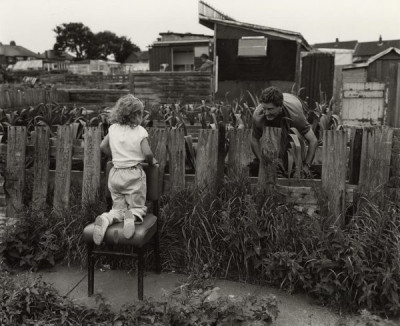 Peaceable Kingdoms, 1991/1992