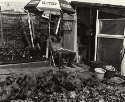 Peaceable Kingdoms, 1991/1992