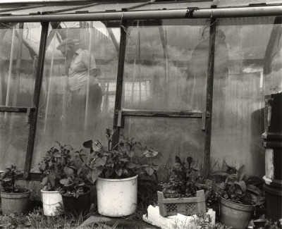 Peaceable Kingdoms, 1991/1992
