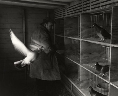 Peaceable Kingdoms, 1991/1992