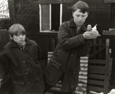Peaceable Kingdoms, 1991/1992