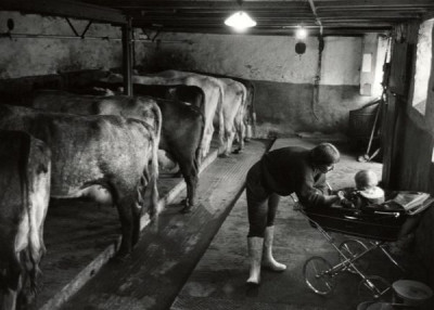 Unclear Family: Crook International Photography Workshop, 1993