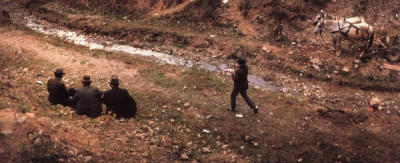 Honnos My Fiddler, 1981/1982