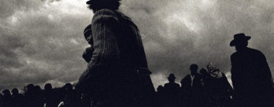 Honnos My Fiddler, 1981/1982
