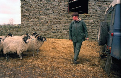 People of the Hills, 1990s