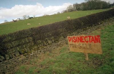 People of the Hills, 1990s