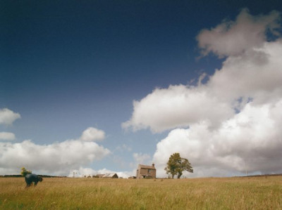 People of the Hills, 1990s