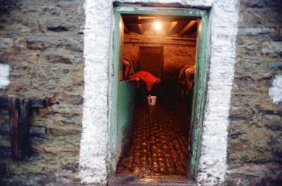 People of the Hills, 1990s