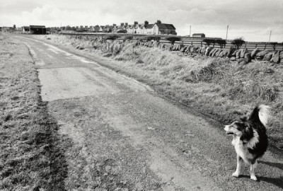 Sunniside, 1993