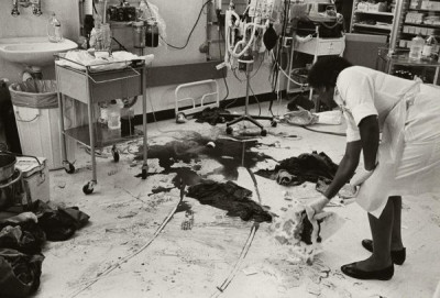 Life in the Liberated Zone, late 1980s