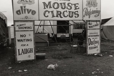 The Hoppings: Mr. Jink’s Mouse Circus, 1971