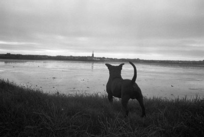 Post Industrial, 1998-2004