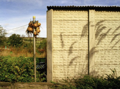 Farewell Squalor, 2001/2002